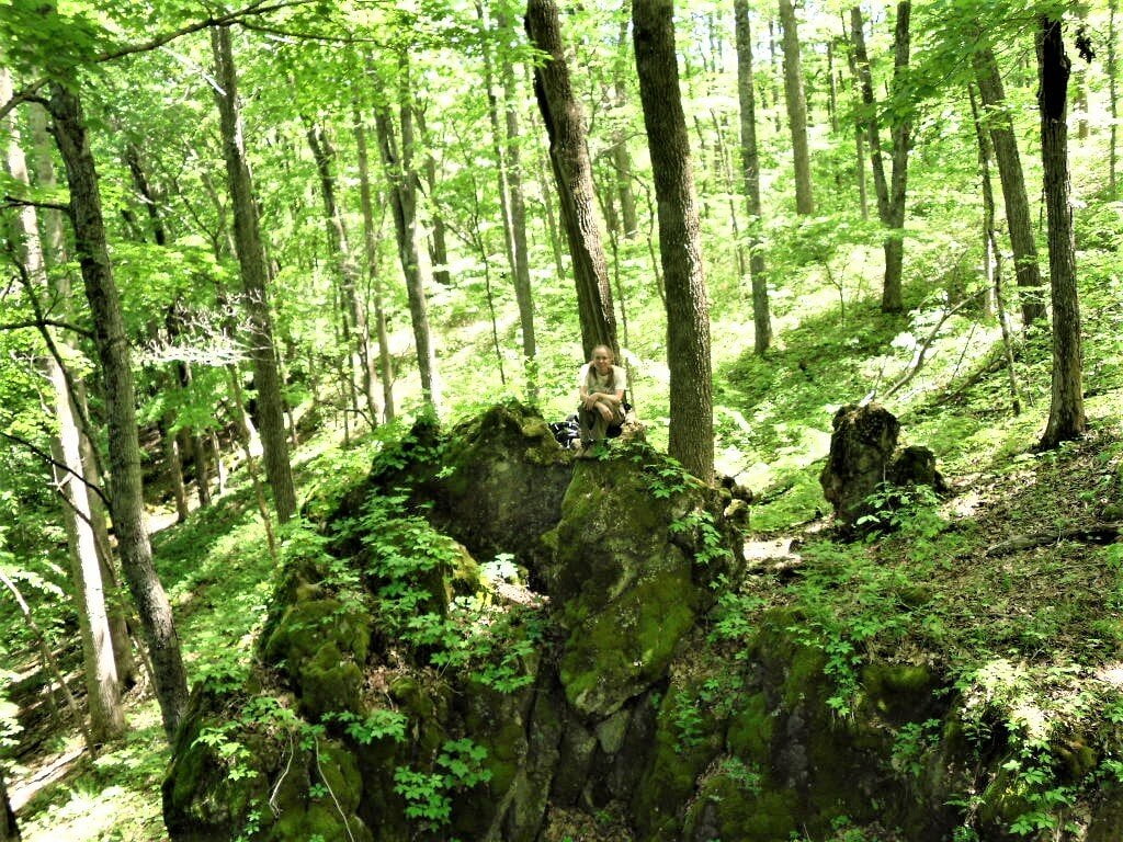 hikers climbing rocks in lush summer woods